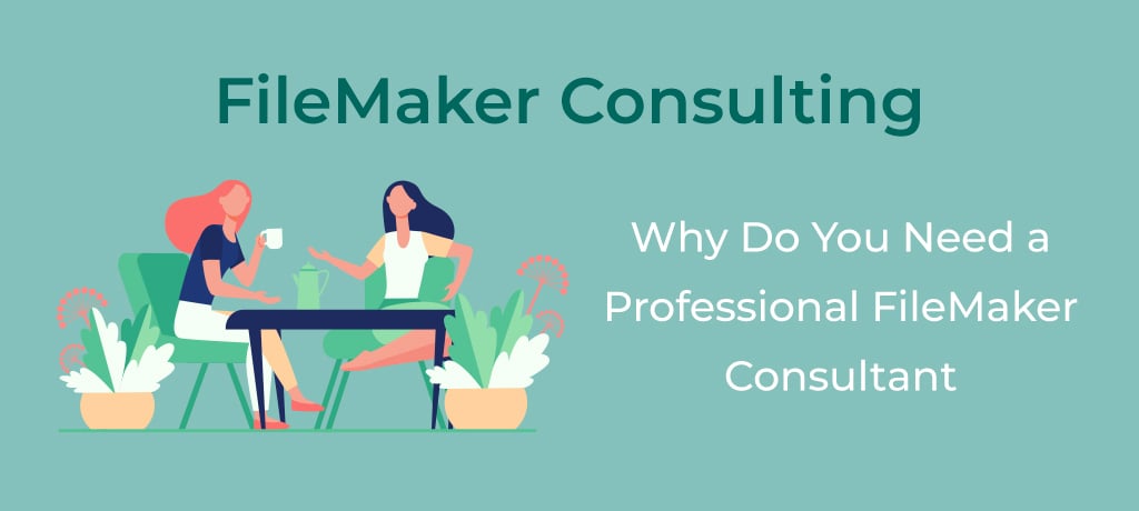 FileMaker Consulting Why Do You Need-banner FileMaker Consulting - why do you need a professional FileMaker consultant